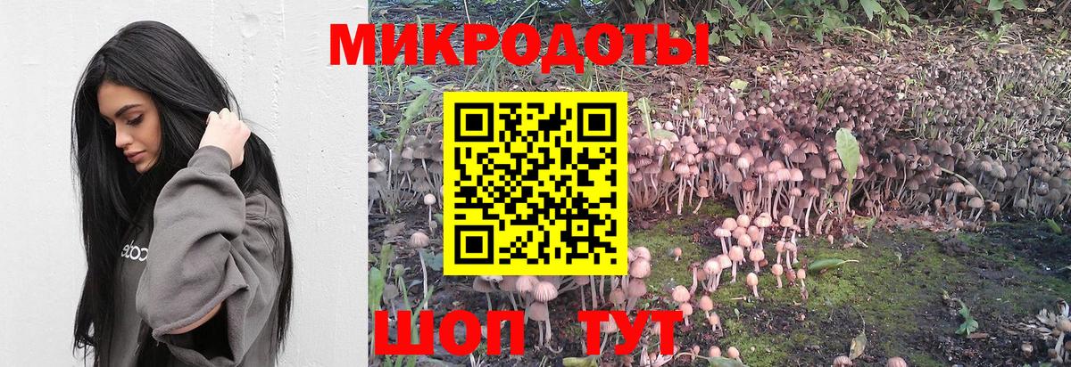 Кизилюрт  Псилоцибиновые грибы GOLDEN TEACHER  Псилоцибиновые грибы ЛСД  дарнет шоп  Вход с VPN 