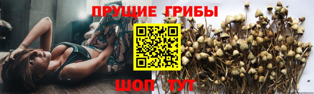Псилоцибиновые грибы Magic Shrooms Кизилюрт